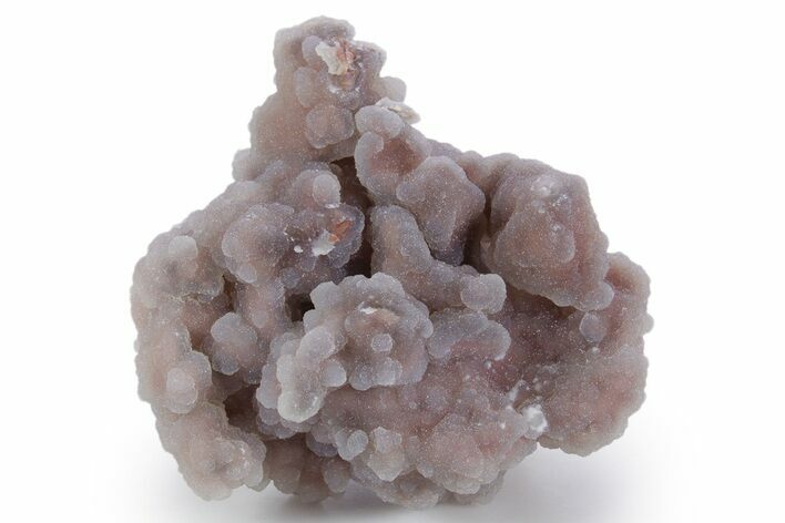 Sparkling Youngite Agate/Jasper Specimen - Wyoming #347577